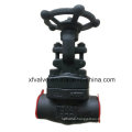ANSI Forged Carbon Steel A105 Thread End NPT Gate Valve